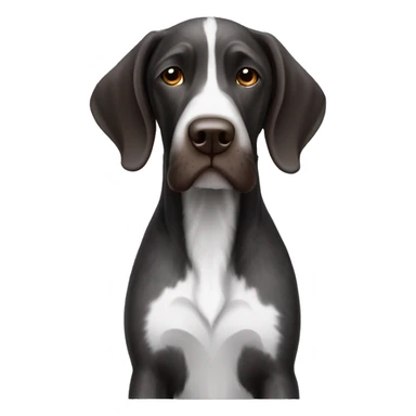 black and white german wire haired pointer sticker