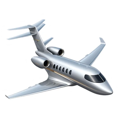 Private jet taking off with BR on the tail sticker