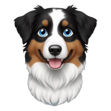 miniature black, white and fire with blue eyes australian shepherd sticker