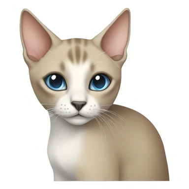 Thai breed cat with a light cream-brown body, dark gray nose and face, ears, and paws. sharp ears, and striking light blue eyes  sticker
