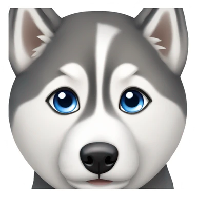 siberian husky with blue eyes sticker
