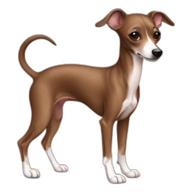 full body all brown italian greyhound chihuahua sticker