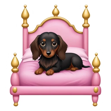 Dachshund long haired in a pink princess bed black fur white underneath and brown feet sticker