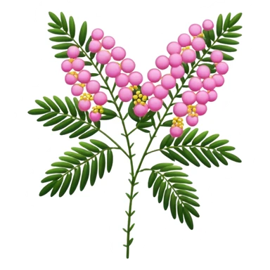 Pink Mimosa with flower  sticker