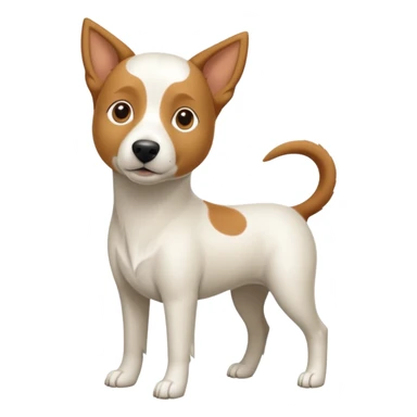 a full body white parsel russell looking dog the size of a kelpie with light brown ears and a light brown patch on one eye and a large snout sticker