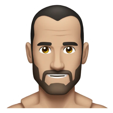 CM Punk  sticker
