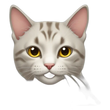 Cat listen music sticker