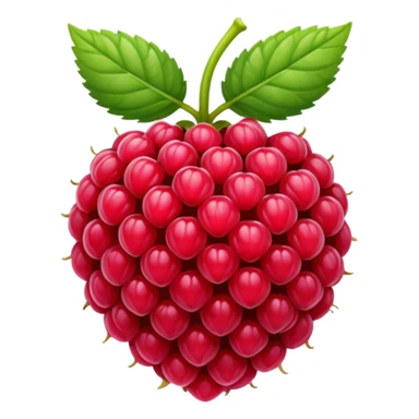 Raspberry sticker