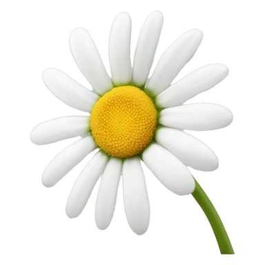 White daisy  sticker