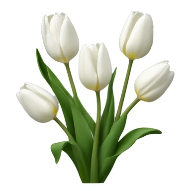 Tulipanes blancos  sticker