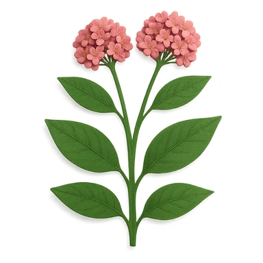 milkweed in paper craft style, layered paper details, tall green stems, broad leaves, pink flower clusters, naturalistic pose sticker
