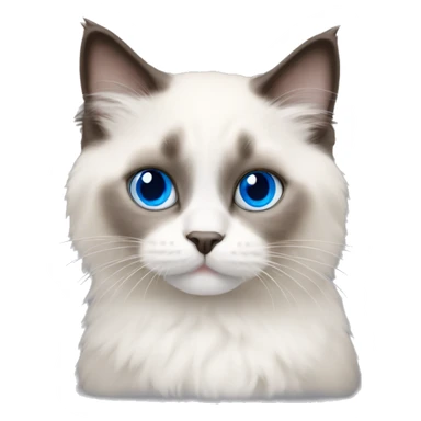 Ragdoll kitten with blue eyes sticker