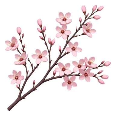 The branches of cherry blossoms are pale pink sticker