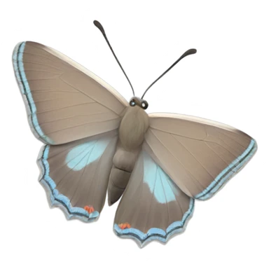 colorado hairstreak butterfly sticker