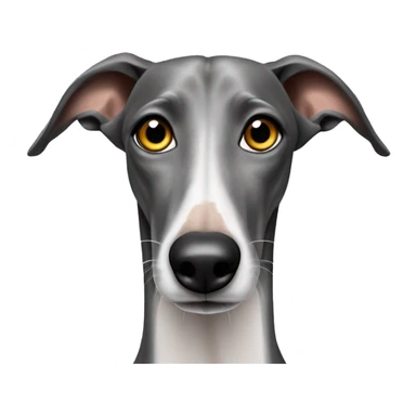 galgo mit zahnweh sticker