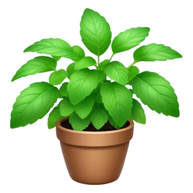Cinematic Realistic Mint Emoji, Fresh and lively, with deep green leaves covered in tiny veins, emanating a cool, refreshing aroma. The plant’s soft, rounded edges sway gently in the breeze, inviting calm and relaxation. Soft glowing outline, capturing the essence of freshness and cooling fragrance in a fragrant mint plant! sticker