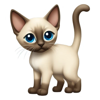 Siamese kitten standing  sticker