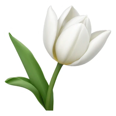 white tulips sticker