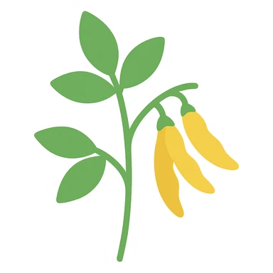 colored icon of a pigeonpea plant with green leaves and yellow pods sticker