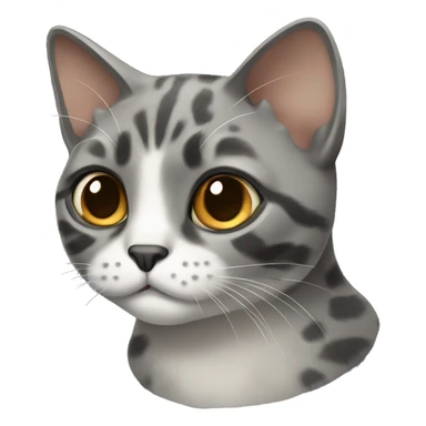 Grey tortoiseshell cat  sticker