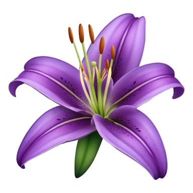 purple lily flower sticker