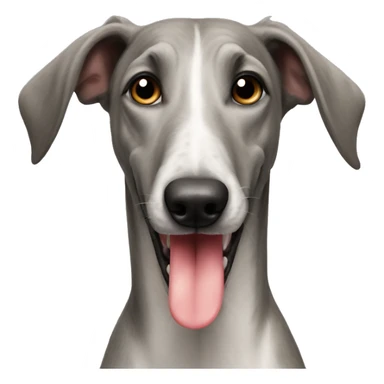 Italian grayhound with tongue out  sticker