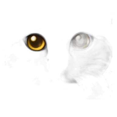 boykisser cat sticker