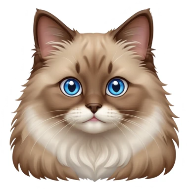 cinematic-adorable-fluffy-brown-ragdoll-cat-portrait-emoji,-head-tilted-cutely-with-big,-sparkling-blue-eyes,-soft-brown-and white-colored-fur-with-darker-points-on-the-ears,-face,-and-paws,-simplified-yet-irresistibly-adorable-features, sticker