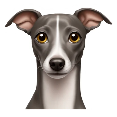 italian greyhound happy sticker