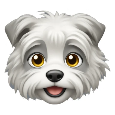 Bishon grise  sticker