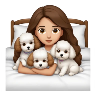 Olive skin girl with long brown hair in bed with three pure white bichon frise's in bed sticker