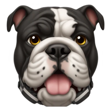 Black bulldog wearing a football helmet sticker