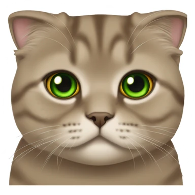 Brown scottish fold with green eyes  sticker