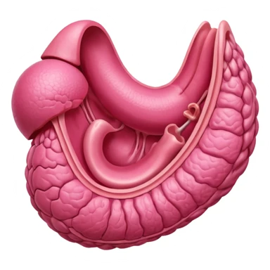 uterus sticker