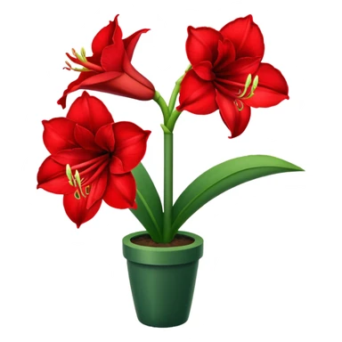 Can you make red Amaryllis sticker