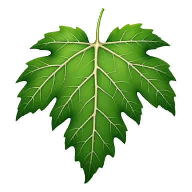 grapeviene leaf sticker