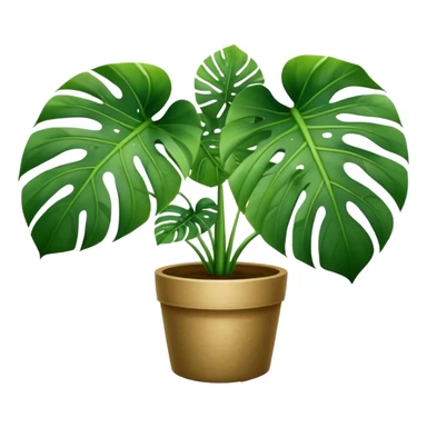 Monstera plant sticker