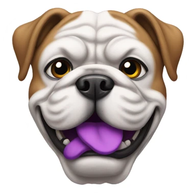 Bulldog wearing purple sticker