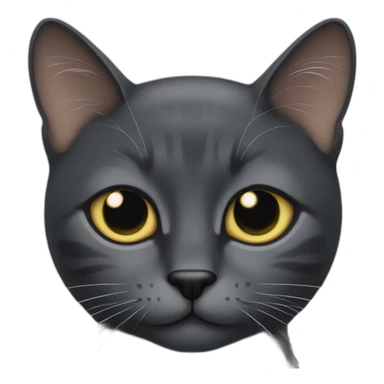 À one eye black cat (keep his left eye) sticker