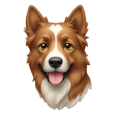 Berger Suisse sticker