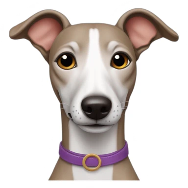 italian piccolo greyhound dog sticker