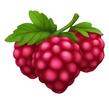 Rasberry sticker