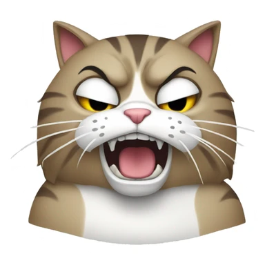 Angry cat with computer sticker