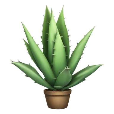Agave plant  sticker