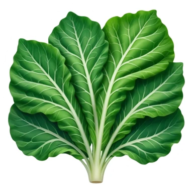 single chard leaf with broad vibrant green blades and thick white rib running down the center, slightly crinkled matte texture, natural curves, visible veins, no bunch soil or extras, soft lighting, subtle shadows, emoji scale sticker
