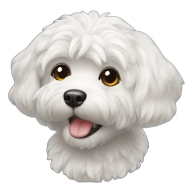Bichón Maltés sticker