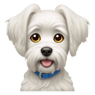 Dog maltipu  sticker