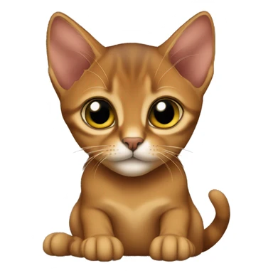Abyssinian kitten sitting sticker