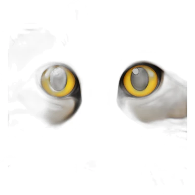 Orange and black cat with yellow eyes and green pupils sticker