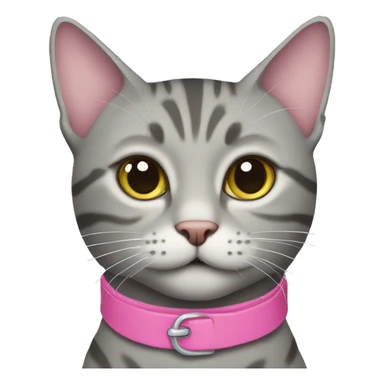 Grey tabby cat with a pink collar sticker
